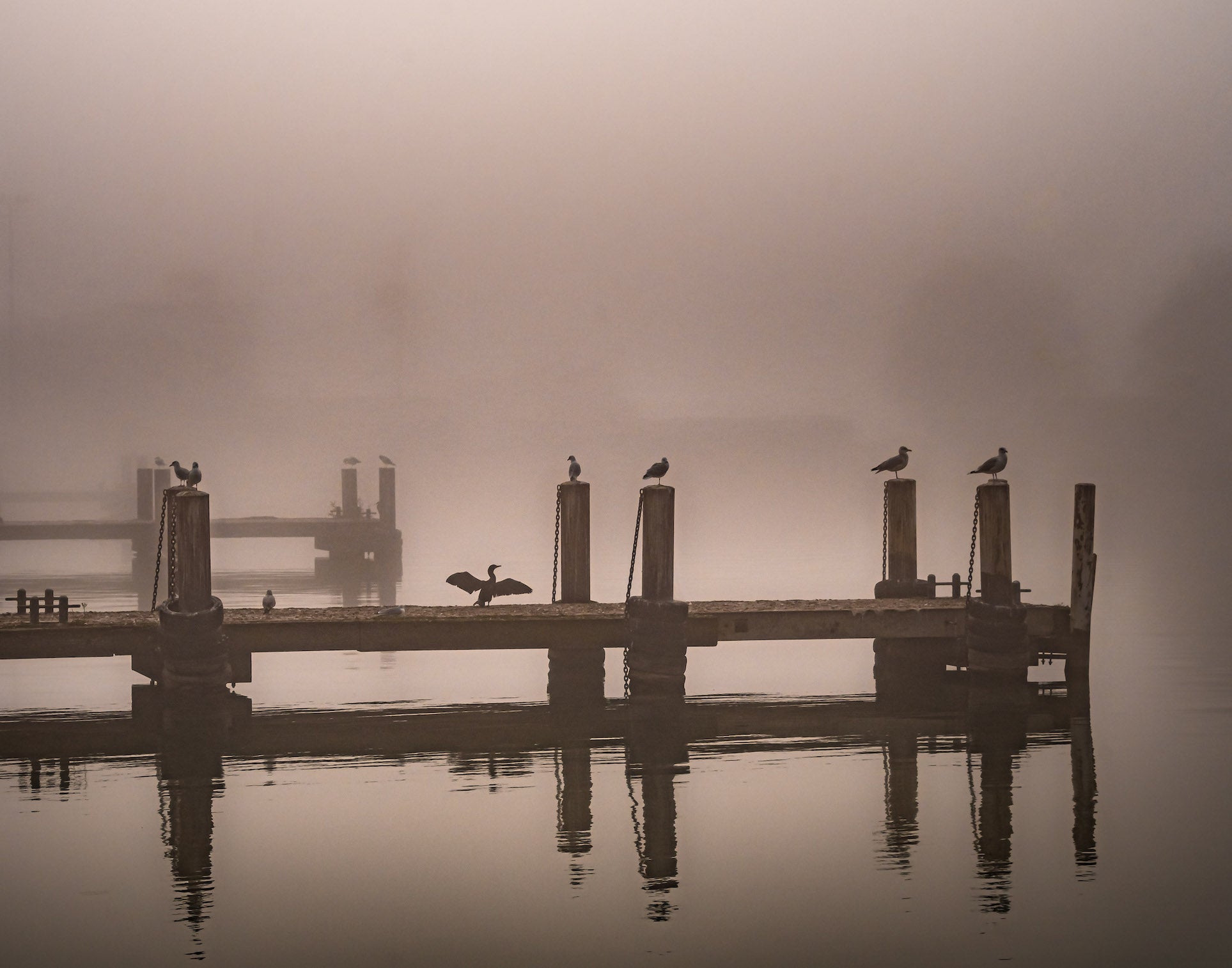 Misty Dock